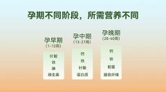 为孕期分阶营养需求专研，a1+孕研所孕护坚果正式面世