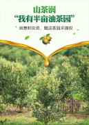 从“一滴油”到“大健康” ，山茶润诚邀优质合作伙伴