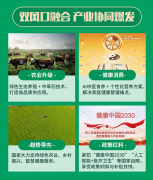 乡当牛的六大核心优势，凭什么值得